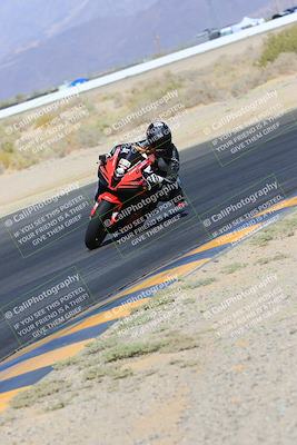 media/May-14-2023-SoCal Trackdays (Sun) [[024eb53b40]]/Turn 4 Inside (9am)/